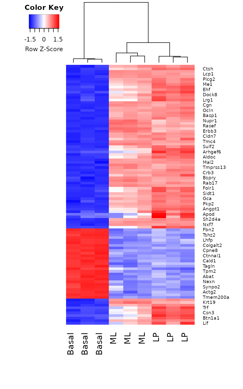 在basal和LP的对比中前100个DE基因log-CPM值的热图。经过缩放调整后，每个基因（每行）的表达均值为0，并且标准差为1。给定基因相对高表达的样本被标记为红色，相对低表达的样本被标记为蓝色。浅色和白色代表中等表达水平的基因。样本和基因已通过分层聚类的方法重新排序。图中显示有样本聚类的树状图。